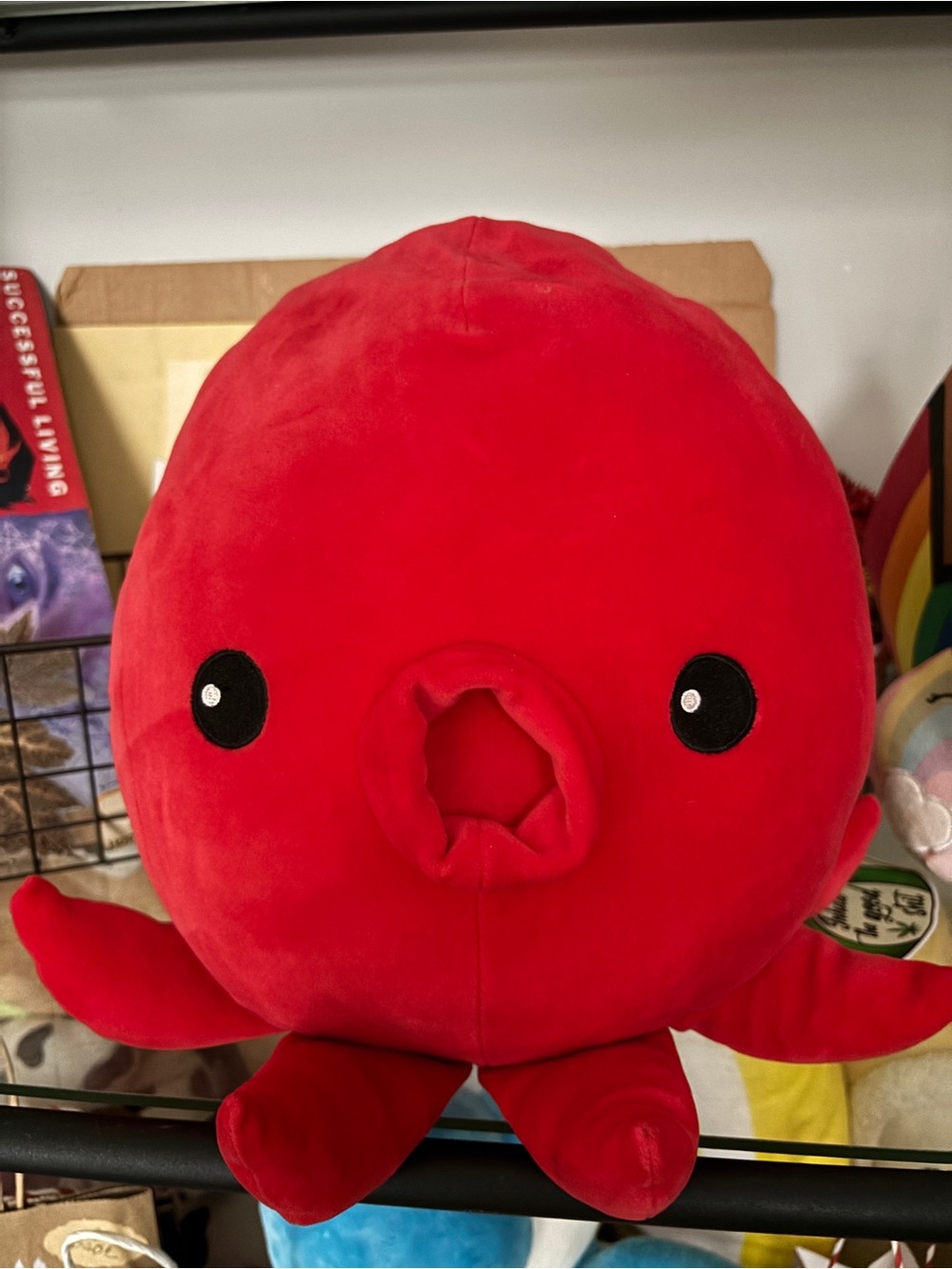 Japanese Plushy Mochipuni Octopus in Red